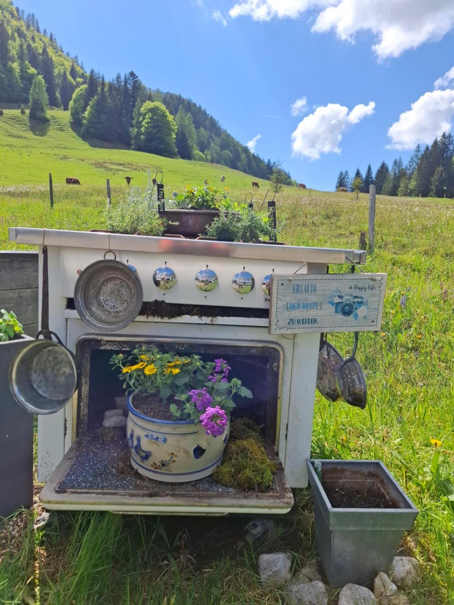 Ammergauer Vier Jahreszeiten Bad Kohlgrub Zewnętrze zdjęcie